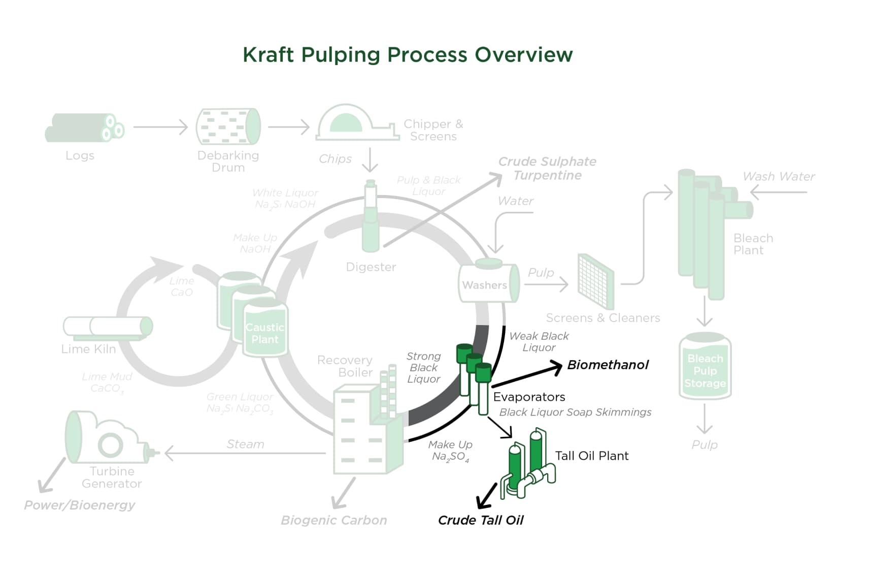 Overview of the Kraft Pulping Process, transforming pine wood chips into pulp, recovering value-added materials like CTO and CTS, and recycling cooking liquor in a sustainable closed-loop chemical process.